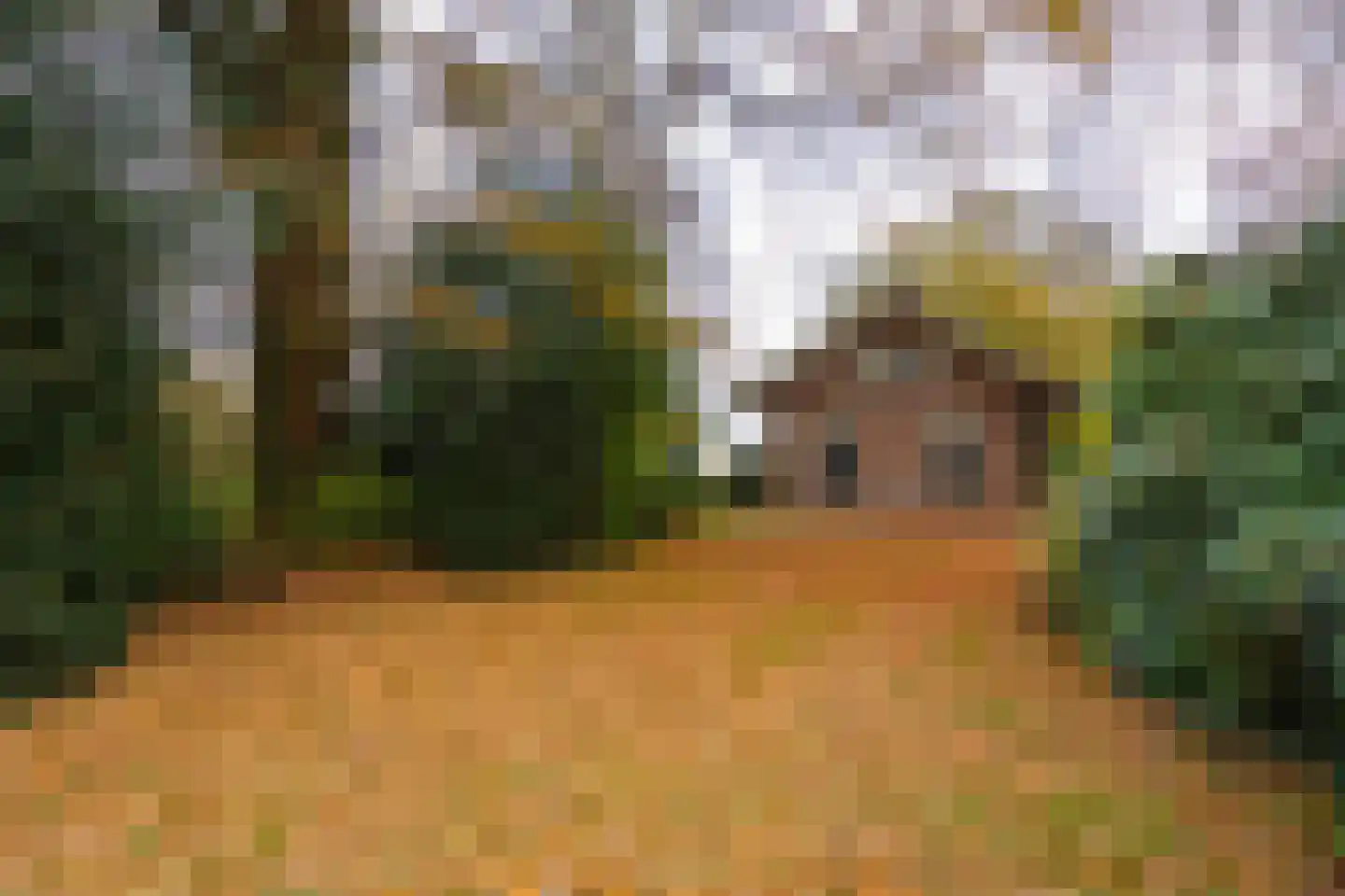Hengelosestraat 24 Delden thumbnail 66