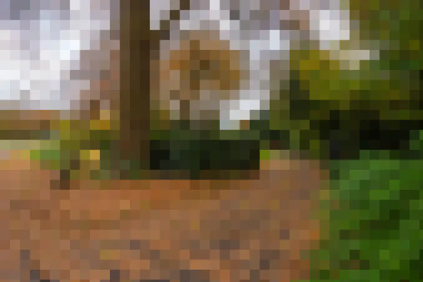 Hengelosestraat 24 Delden thumbnail 67