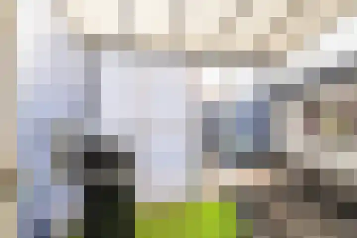 Hengelosestraat 4 Sint Philipsland thumbnail 17
