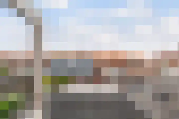 Hengelosestraat 4 Sint Philipsland thumbnail 30