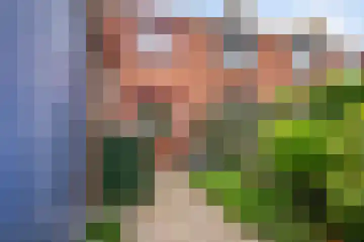 Hengelosestraat 4 Sint Philipsland thumbnail 8
