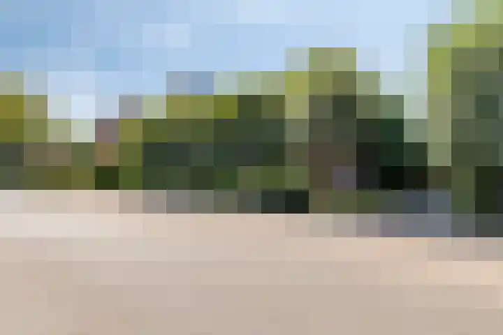 Hengelosestraat 47 Keijenborg thumbnail 4