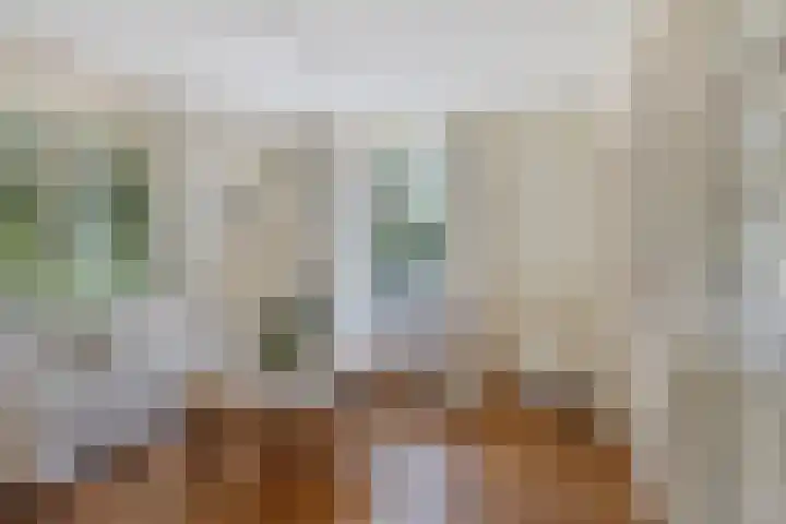Hengelosestraat 47 Keijenborg thumbnail 7