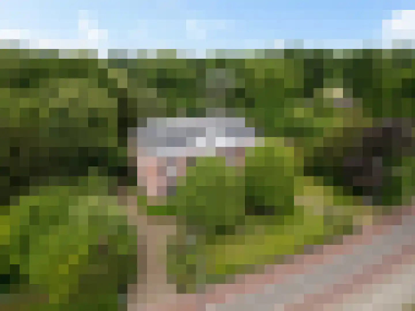 Hengelosestraat 5 Delden thumbnail 10