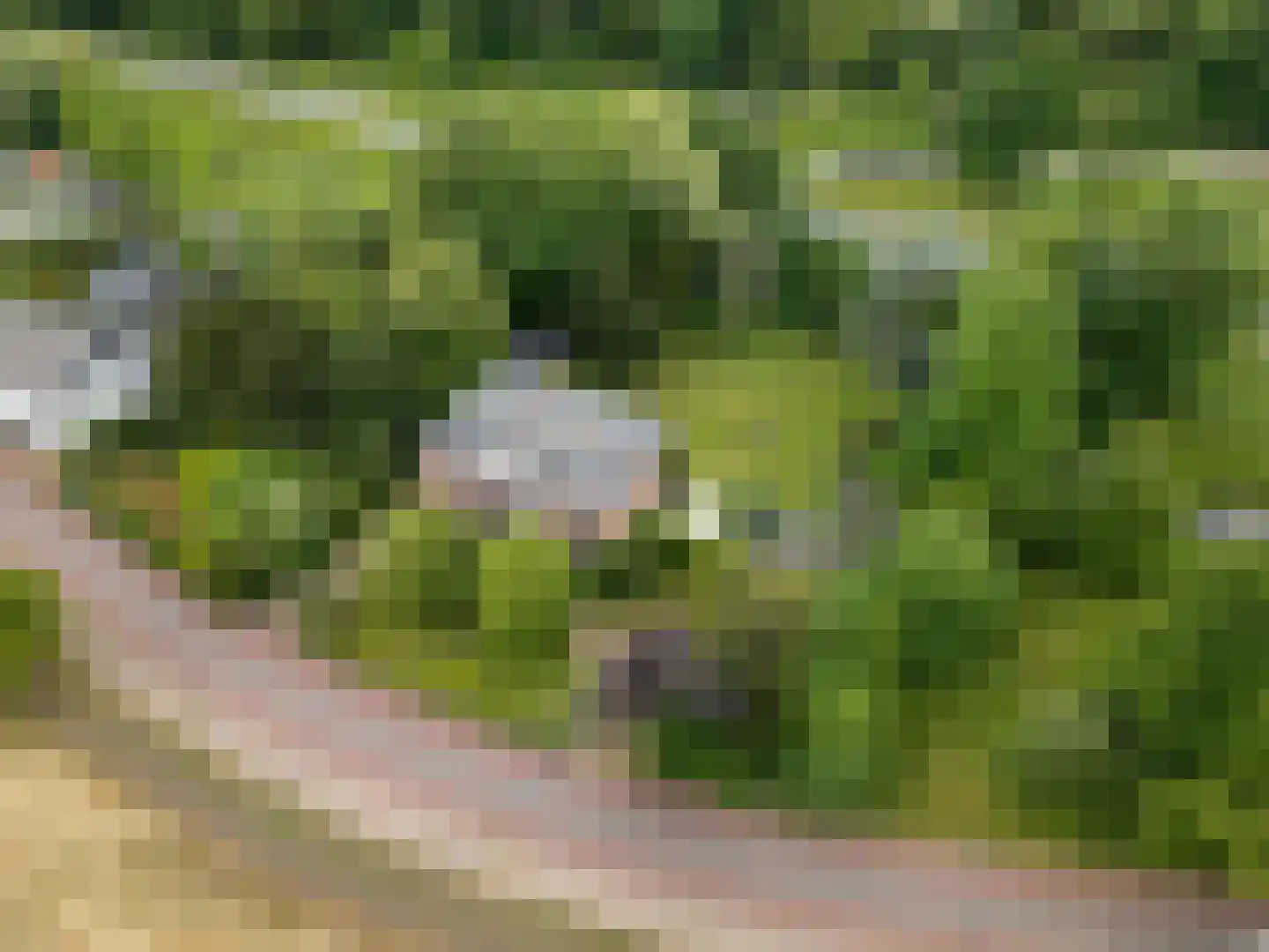 Hengelosestraat 5 Delden thumbnail 11