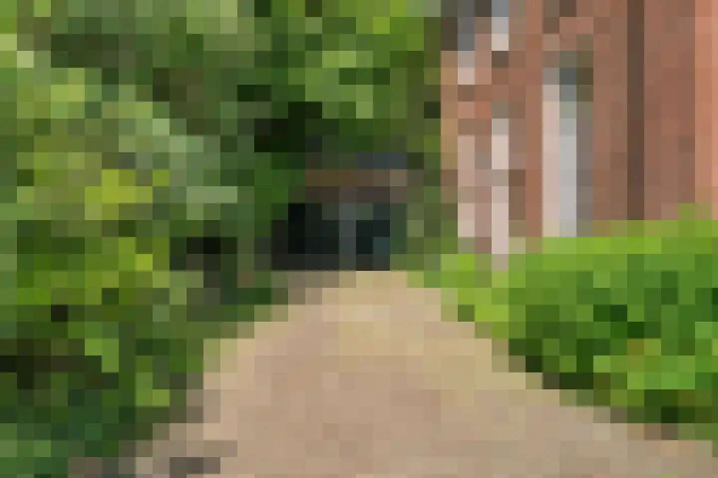 Hengelosestraat 5 Delden thumbnail 16