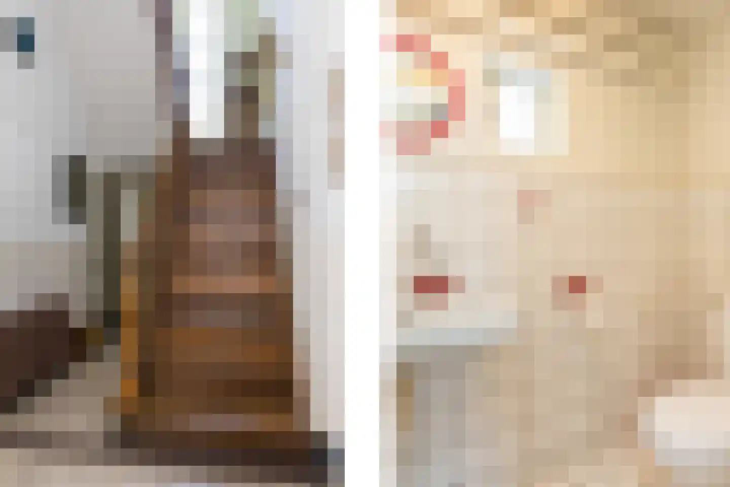 Hengelosestraat 5 Delden thumbnail 34