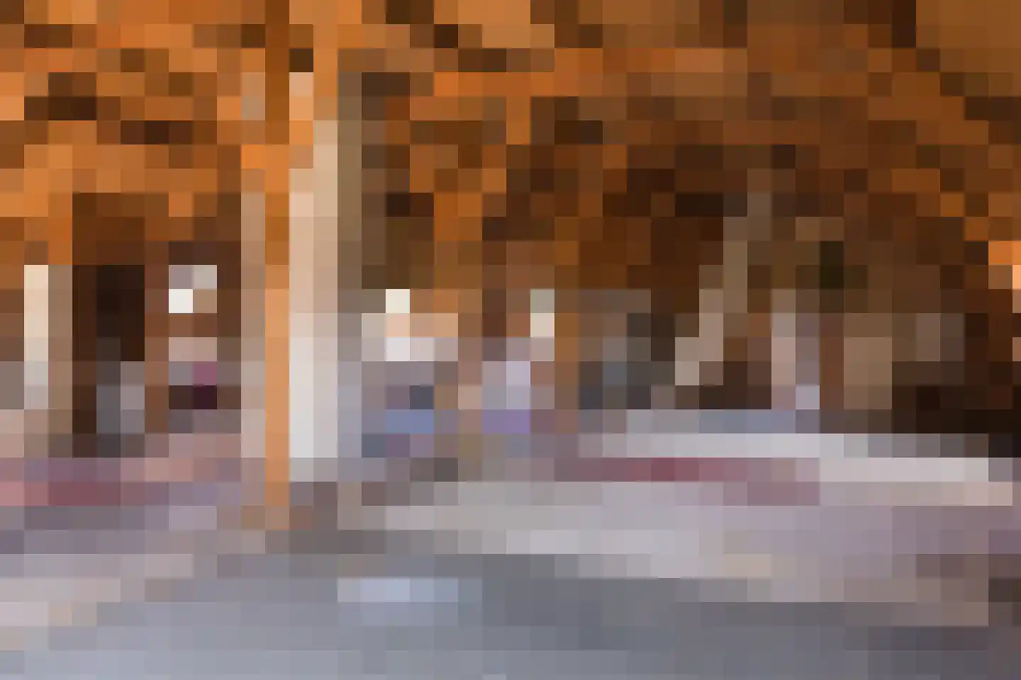 Hengelosestraat 5 Delden thumbnail 46