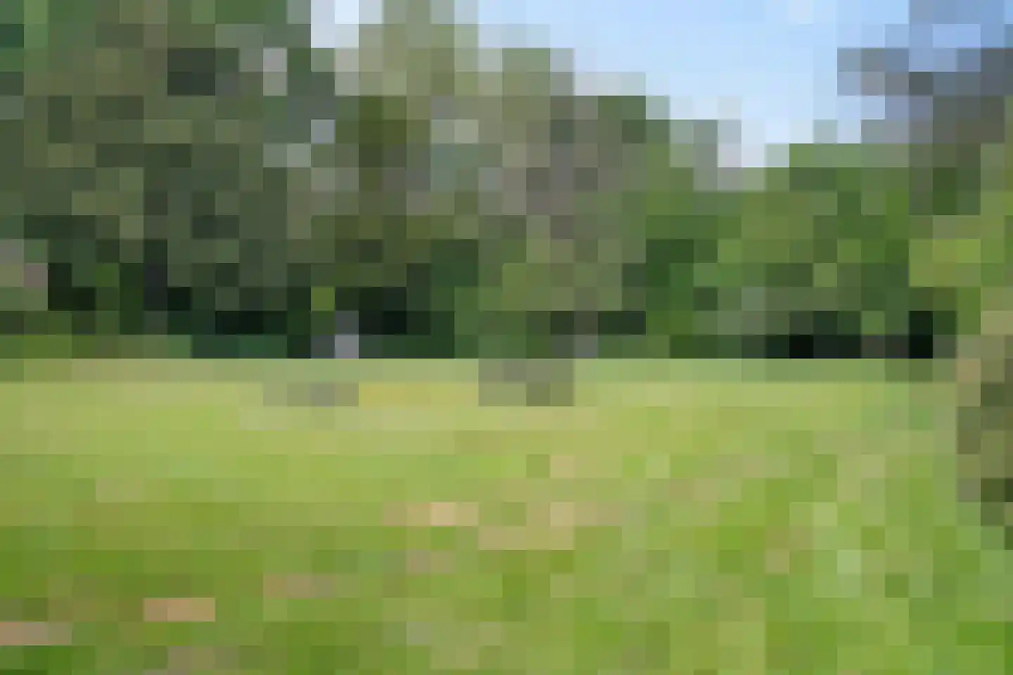 Hengelosestraat 5 Delden thumbnail 53