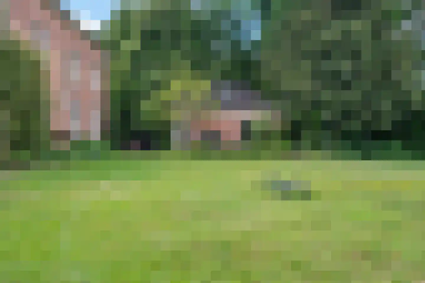 Hengelosestraat 5 Delden thumbnail 54