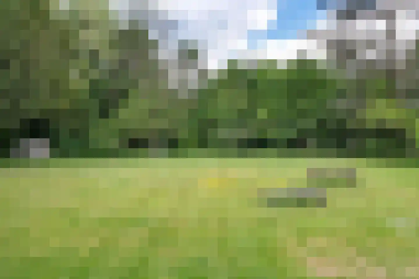 Hengelosestraat 5 Delden thumbnail 55