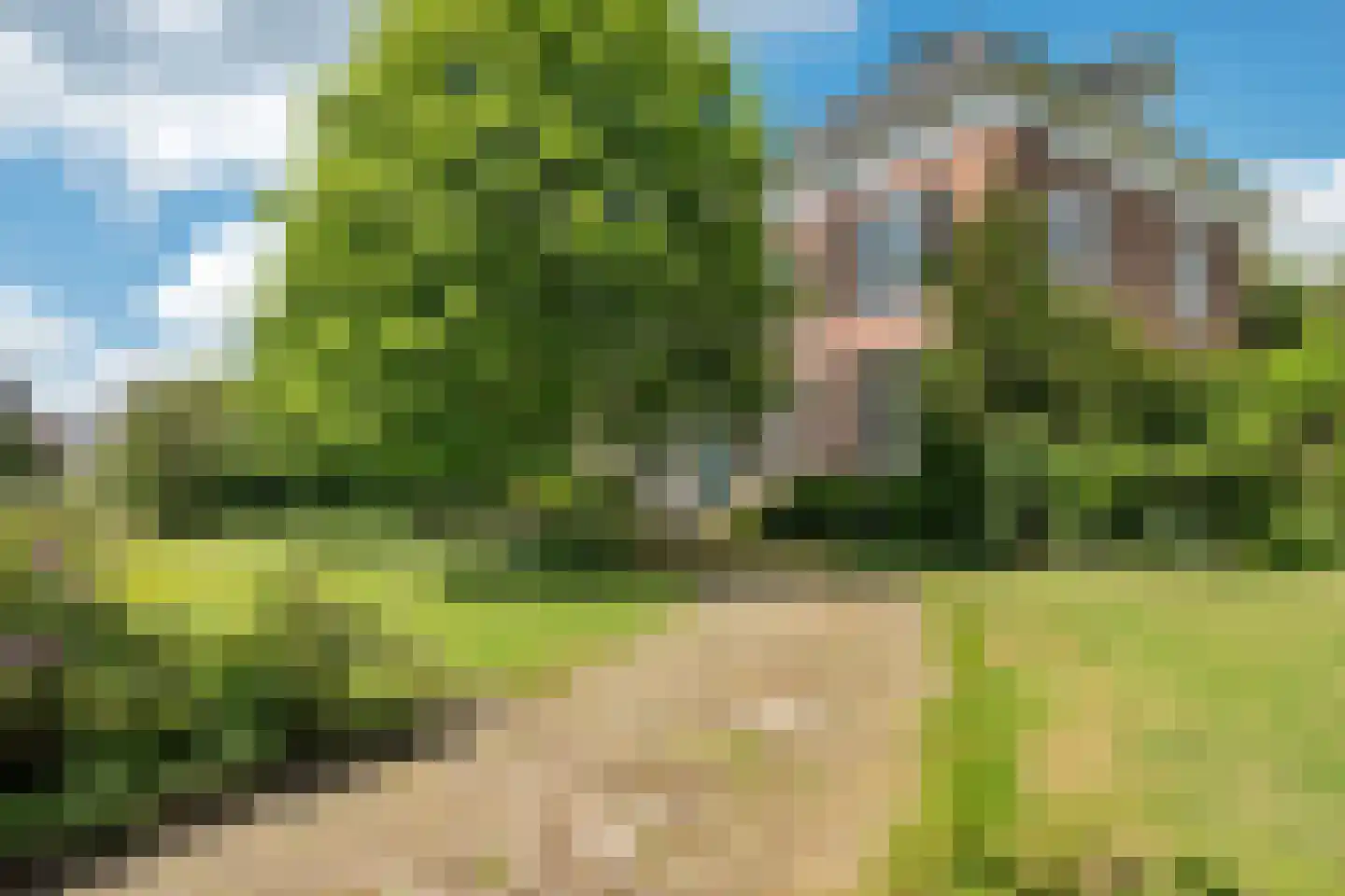 Hengelosestraat 5 Delden thumbnail 7