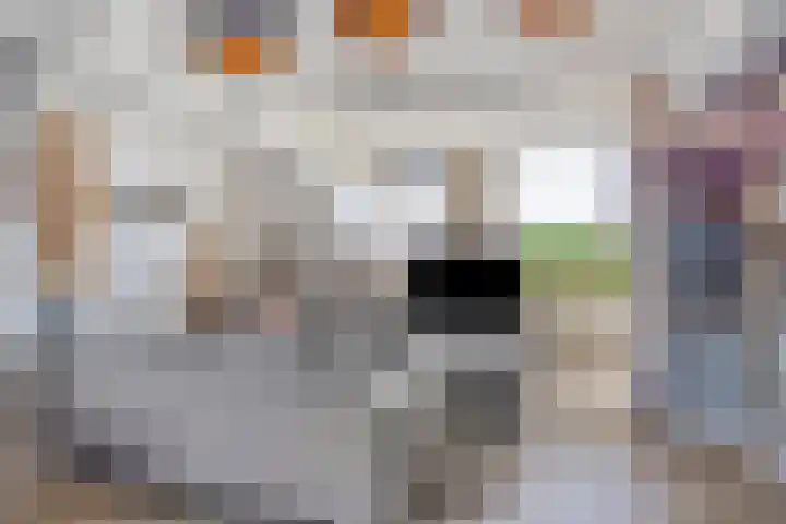 Hengelosestraat 7 d Oldenzaal thumbnail 7