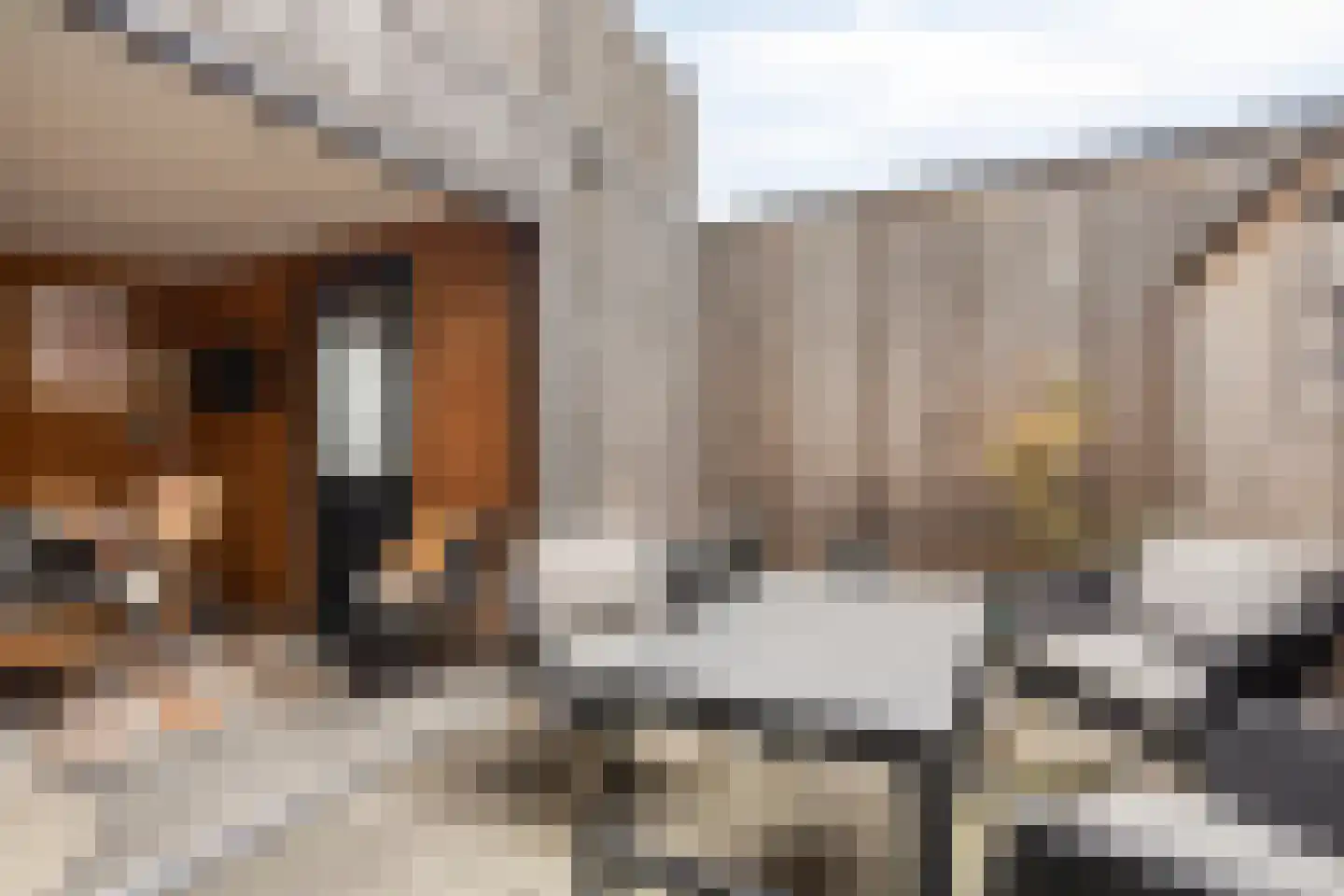 Hengelosestraat 7 Oldenzaal thumbnail 15