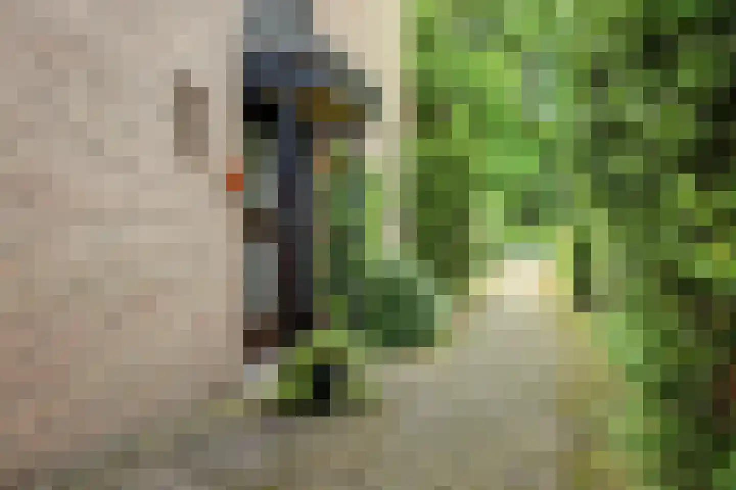 Hengelosestraat 72 Haaksbergen thumbnail 6