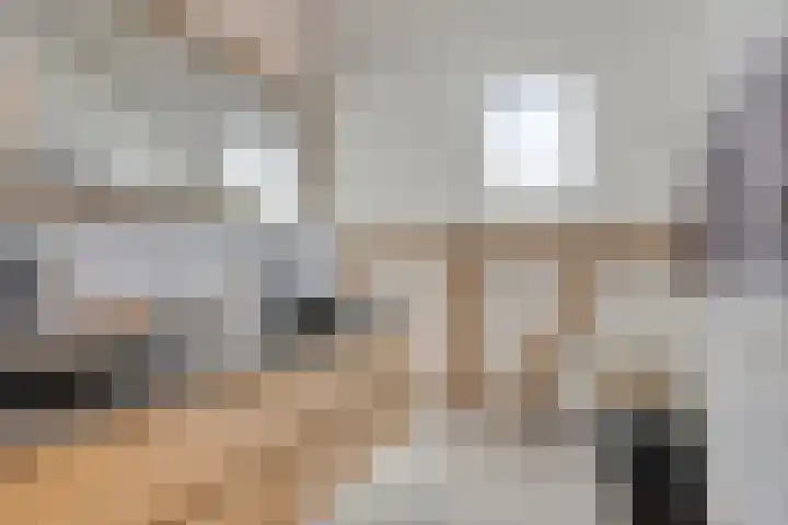 Hengeloseweg 4 Ruurlo thumbnail 41
