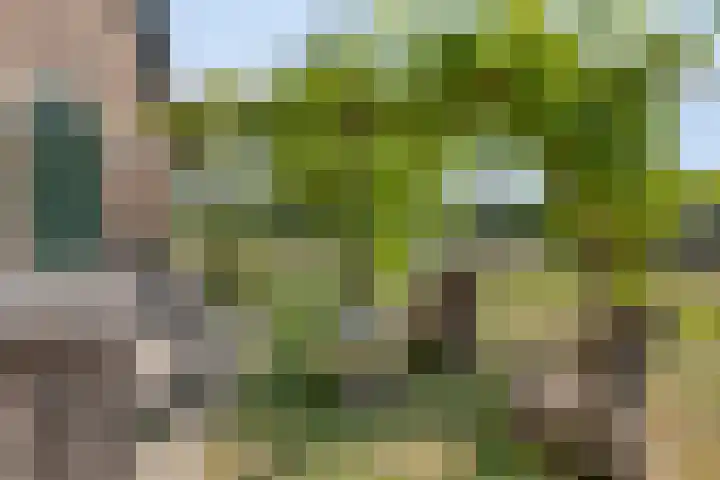 Hengeloseweg 4 Ruurlo thumbnail 59