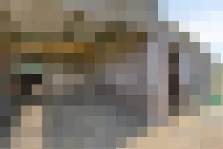 Hengeloseweg 4 Ruurlo thumbnail 67