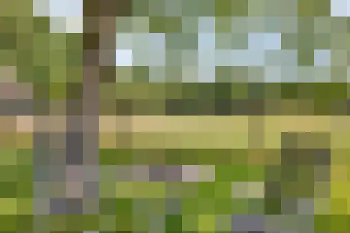Hengeloseweg 4 Ruurlo thumbnail 70