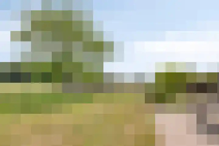Hengeloseweg 4 Ruurlo thumbnail 71