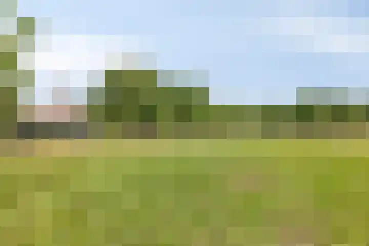 Hengeloseweg 4 Ruurlo thumbnail 72
