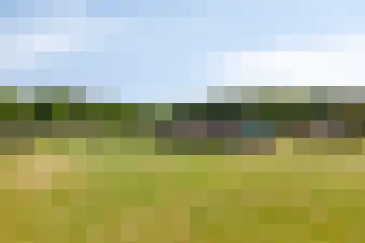 Hengeloseweg 4 Ruurlo thumbnail 75