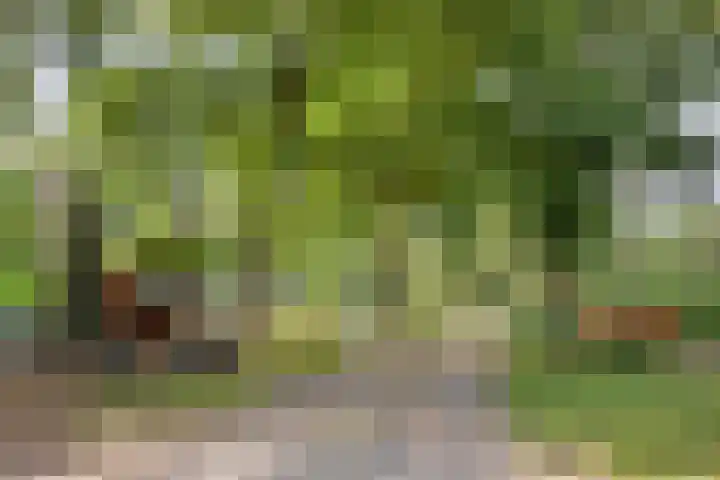 Hengeloseweg 4 Ruurlo thumbnail 78