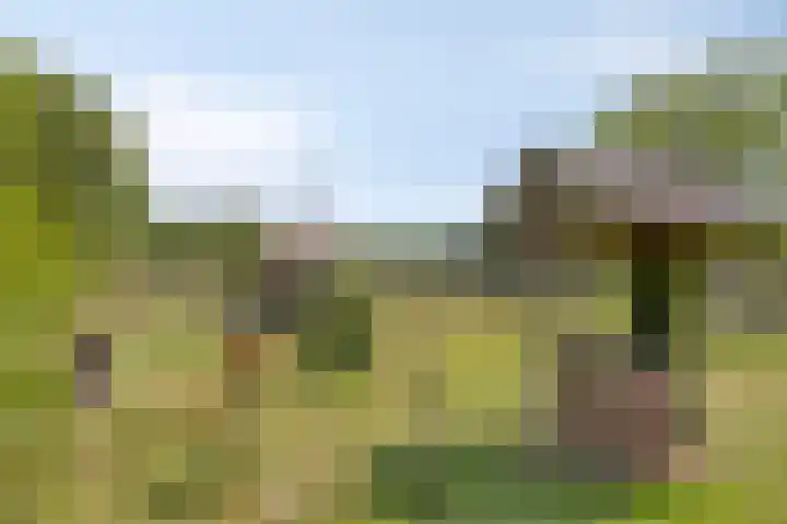 Hengeloseweg 4 Ruurlo thumbnail 9