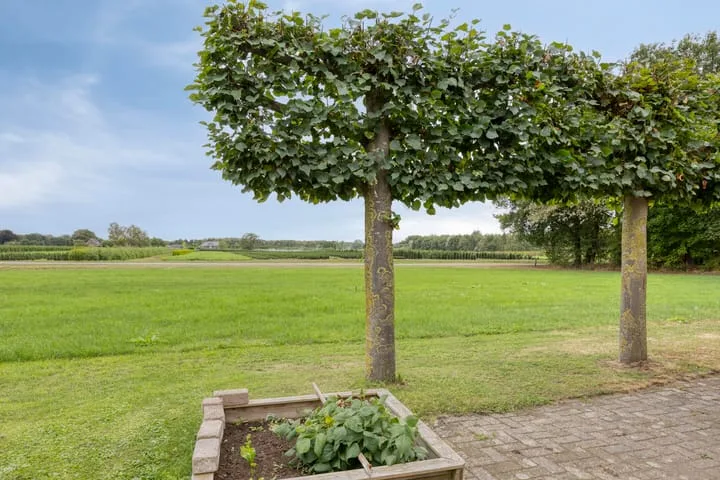 Hengeloseweg 50 Zelhem thumbnail 50