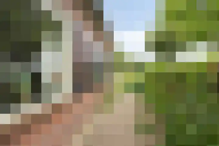 Hengeloseweg 50 Zelhem thumbnail 8