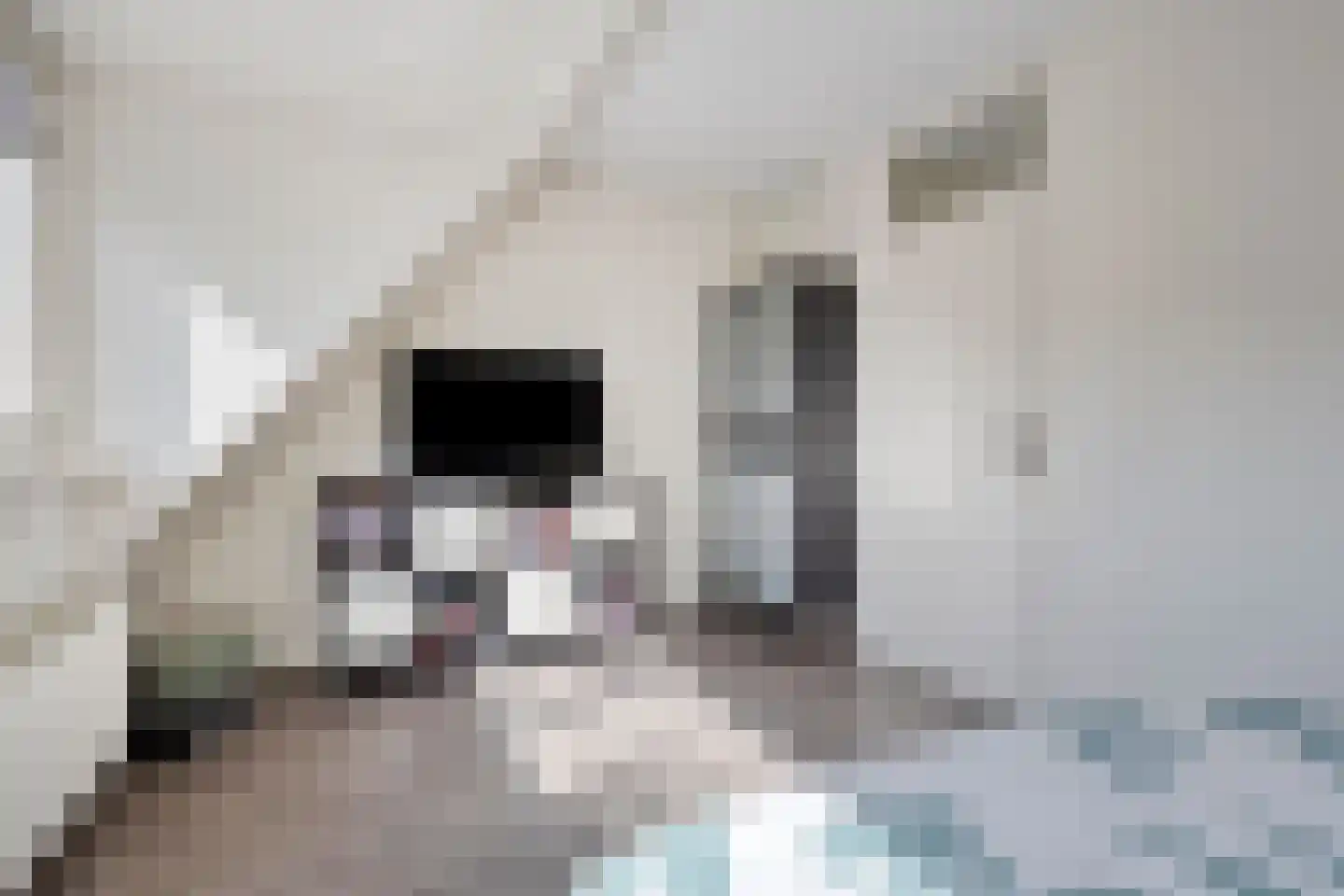 Hengemunde 21 Leuth thumbnail 14