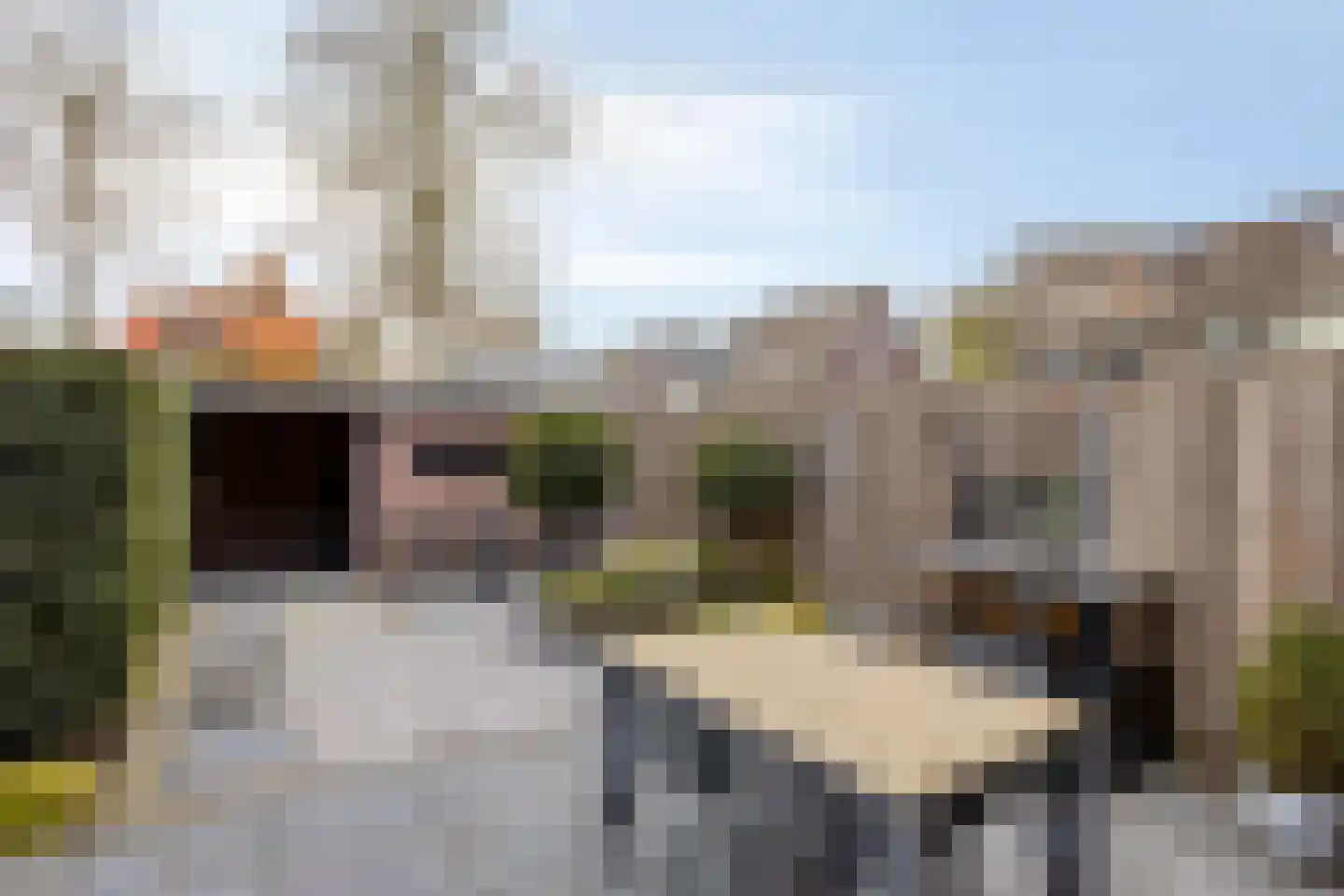 Hengemunde 21 Leuth thumbnail 20