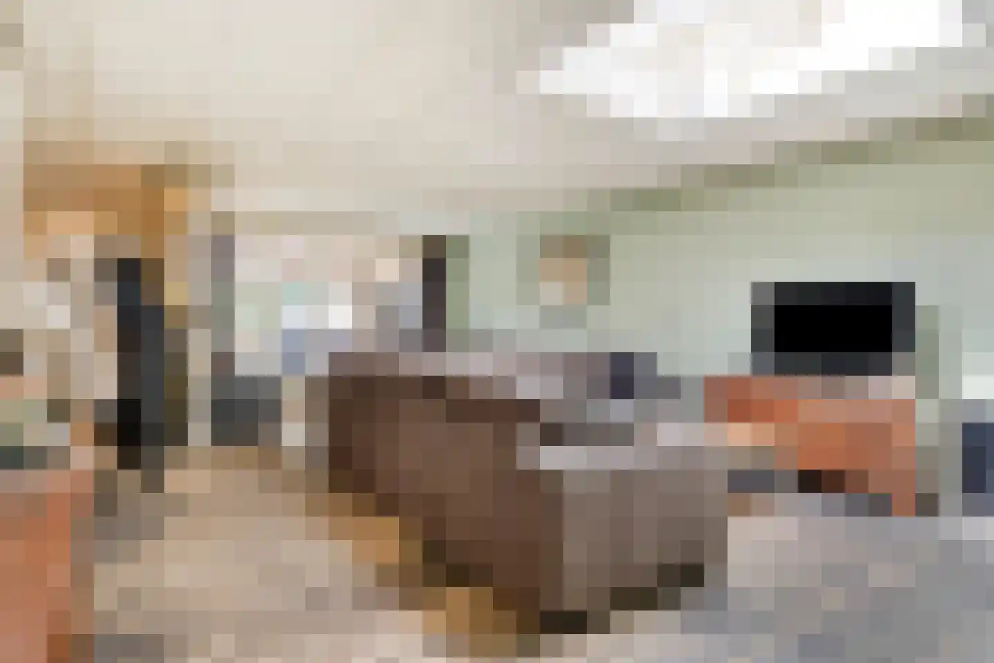 Hengevelderstraat 32 Goor thumbnail 10