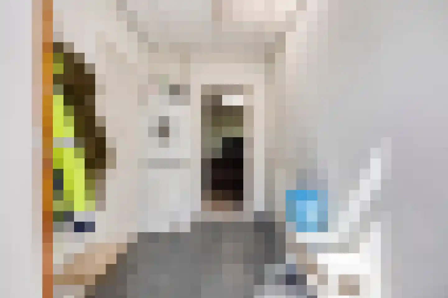 Hengevelderstraat 32 Goor thumbnail 7