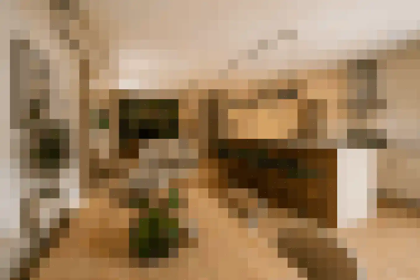 Hengevelderstraat 51 Goor thumbnail 4