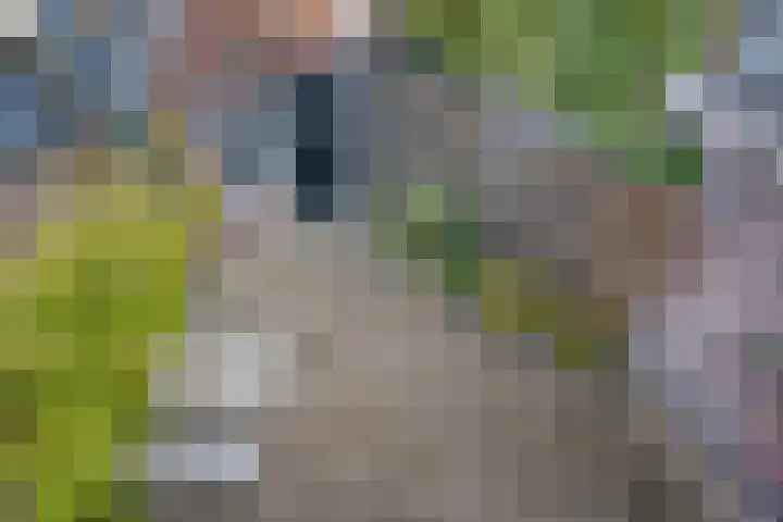 Hengevelderstraat 55 Goor thumbnail 22