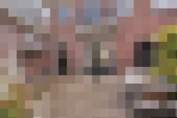 Hengevelderstraat 55 Goor thumbnail 33
