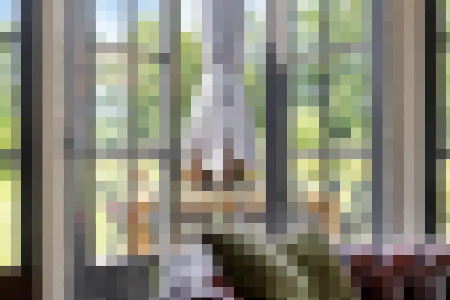Hengevelderweg 4 a Diepenheim thumbnail 12