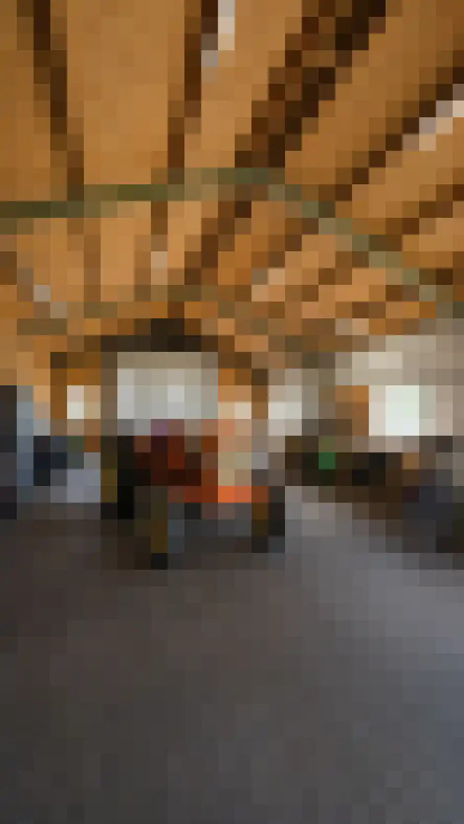 Hengevelderweg 4 a Diepenheim thumbnail 30