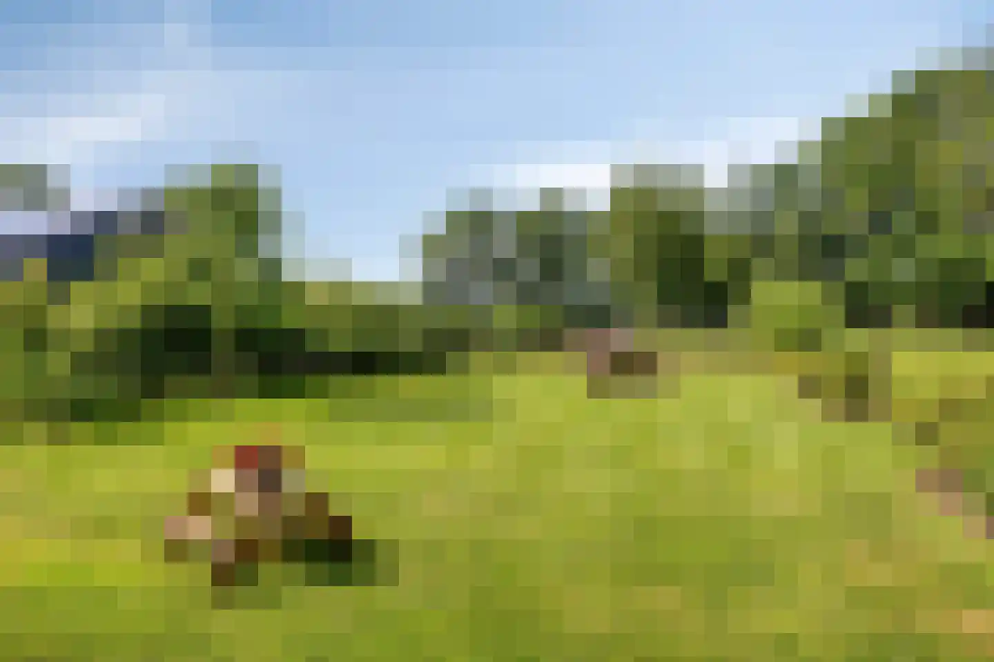 Hengevelderweg 4 a Diepenheim thumbnail 36