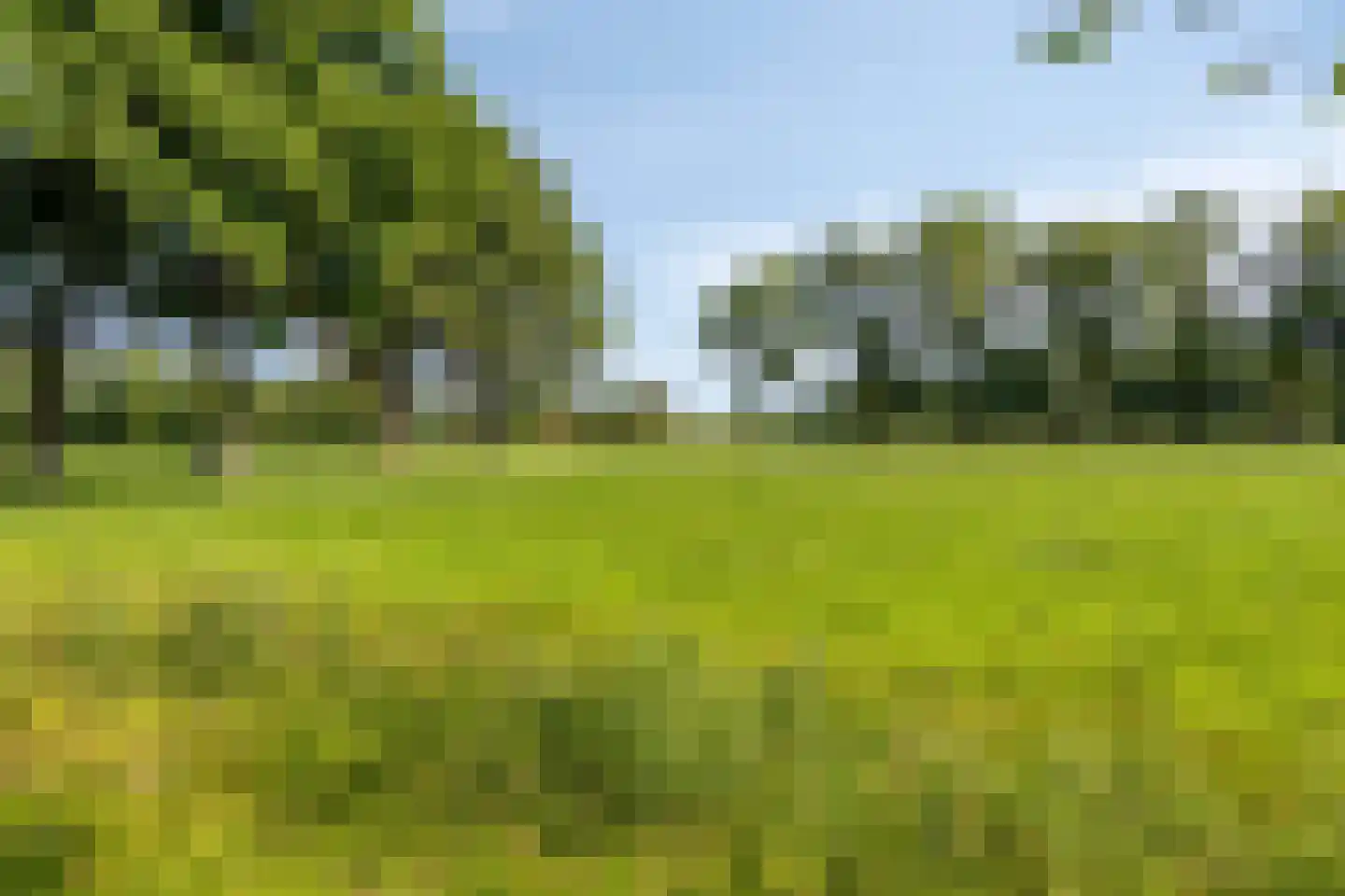 Hengevelderweg 4 a Diepenheim thumbnail 41