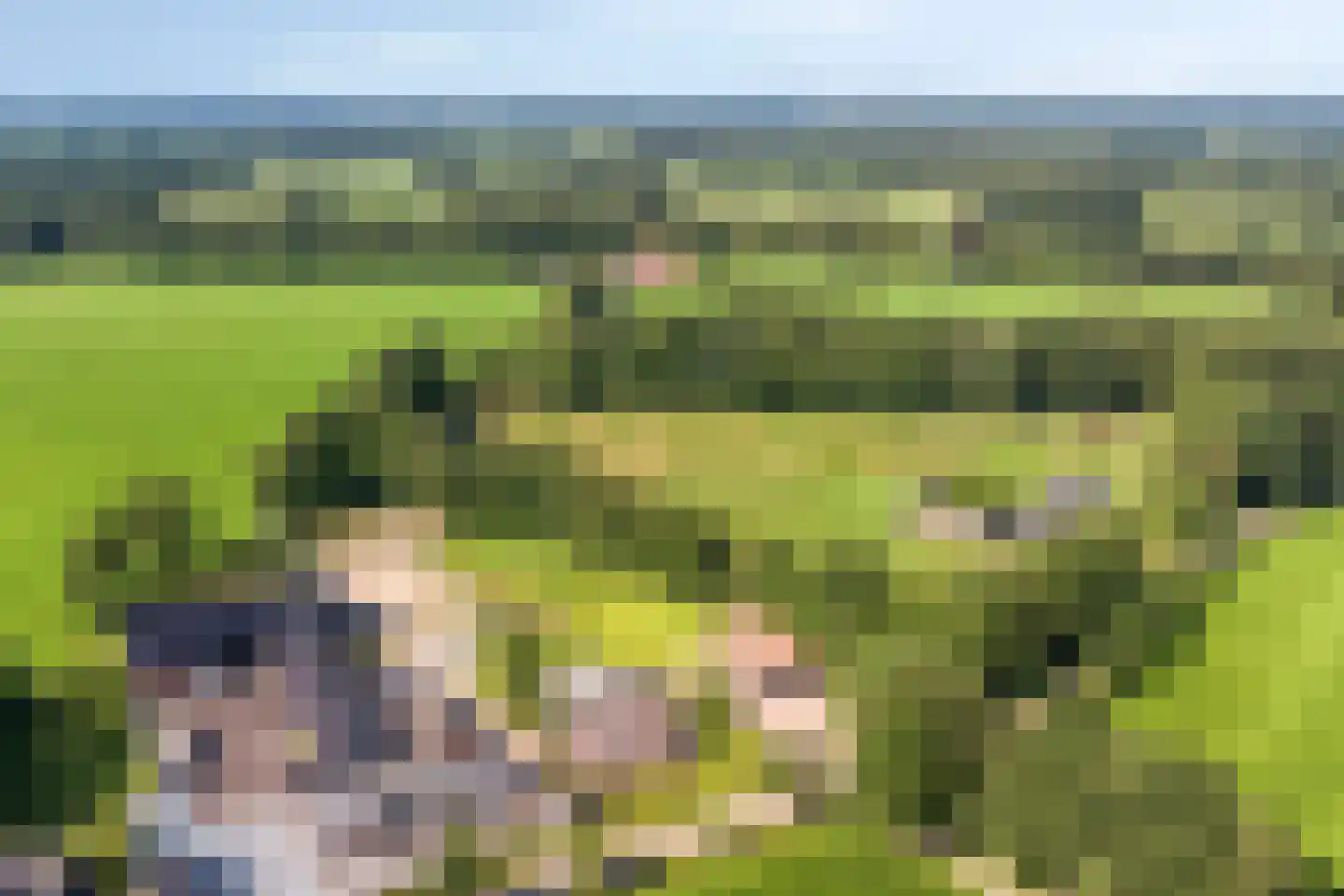 Hengevelderweg 4 a Diepenheim thumbnail 43