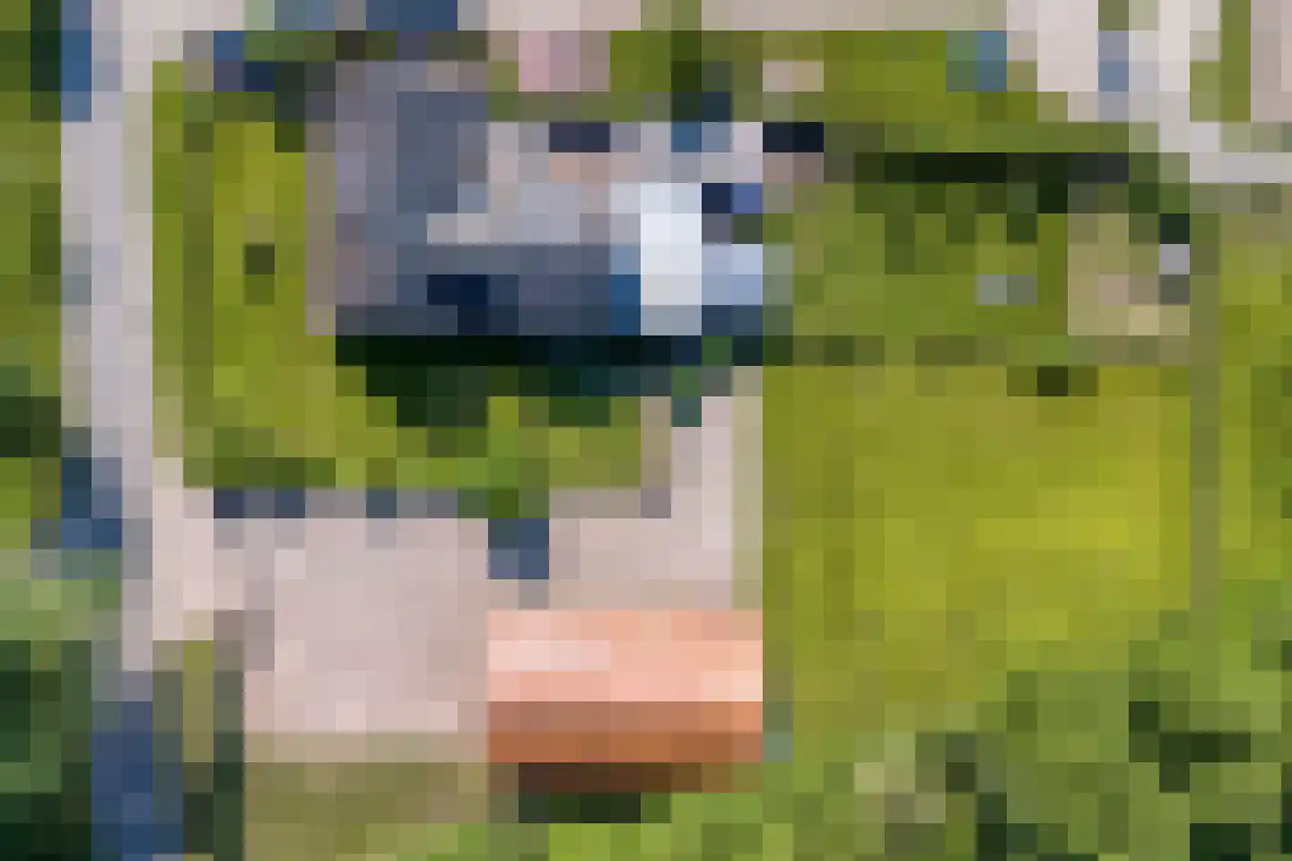 Hengevelderweg 4 a Diepenheim thumbnail 44