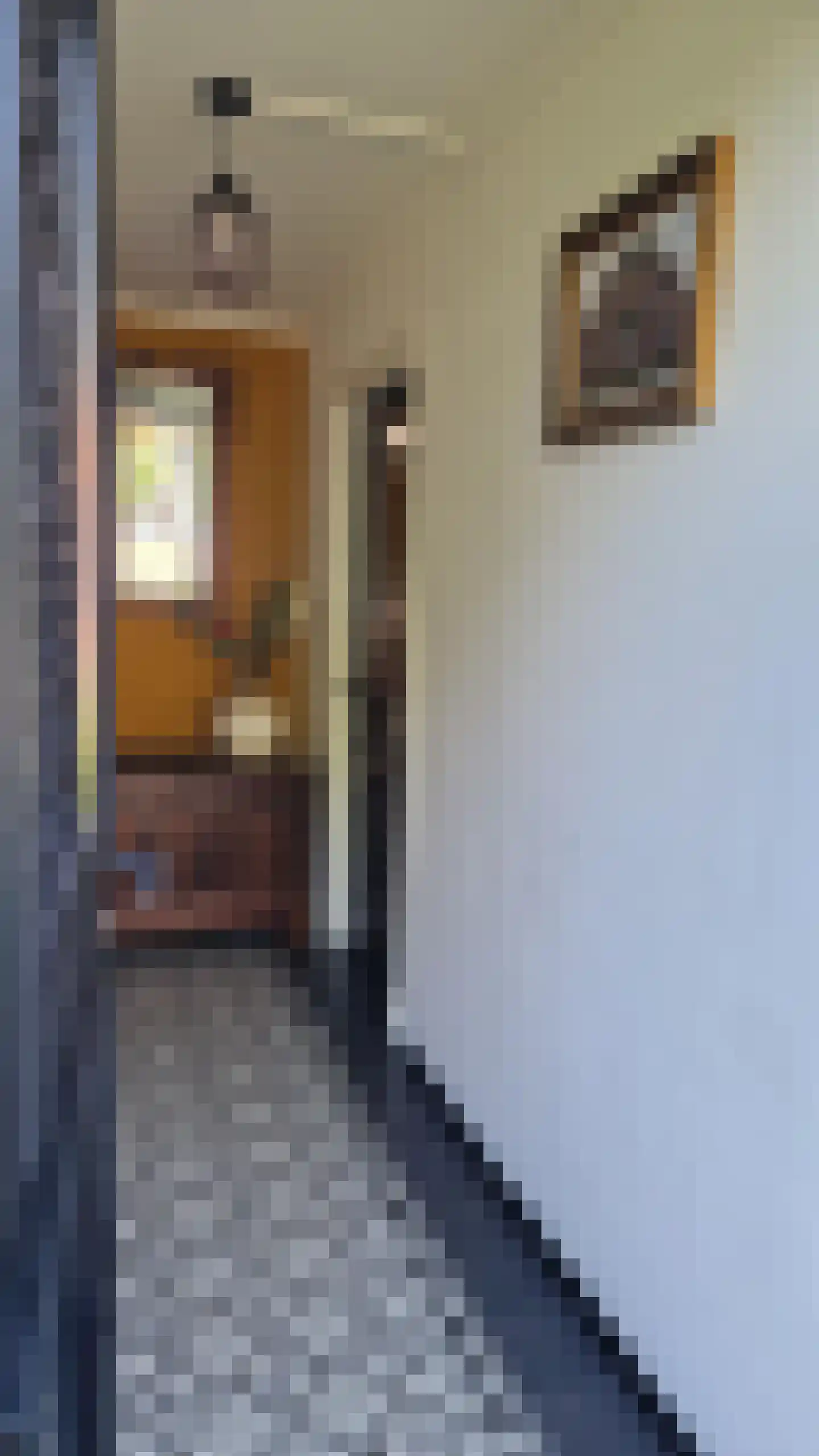 Hengevelderweg 4 a Diepenheim thumbnail 8