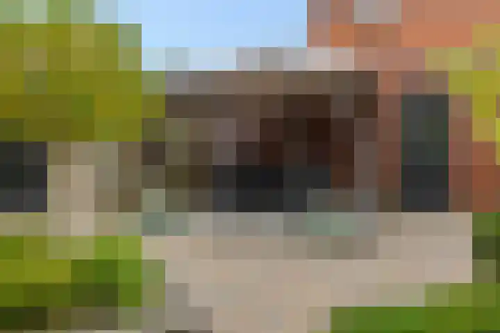 Hengmeng 100 's-Hertogenbosch thumbnail 31