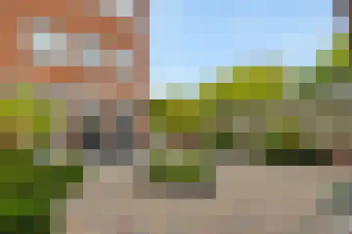 Hengmeng 100 's-Hertogenbosch thumbnail 32