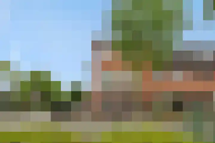 Hengmeng 100 's-Hertogenbosch thumbnail 37