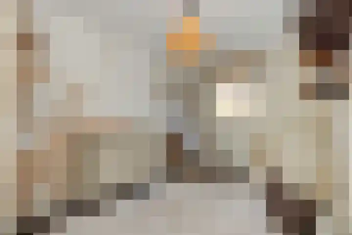 Hengmeng 106 's-Hertogenbosch thumbnail 16