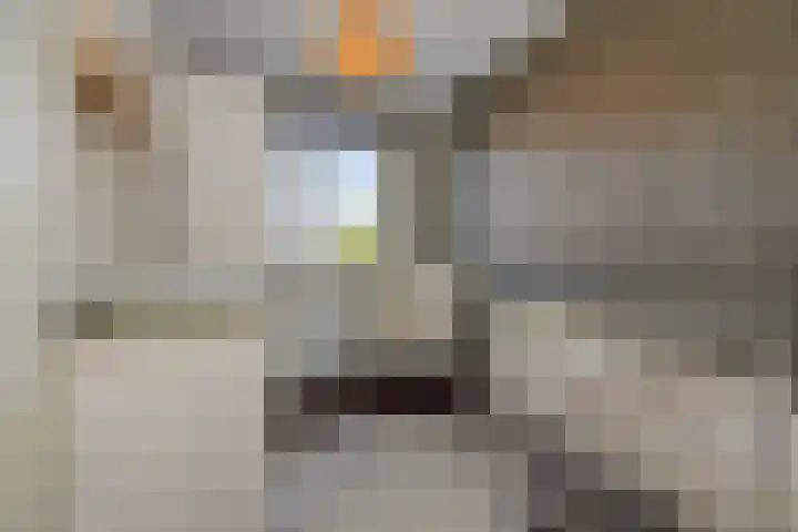 Hengmeng 106 's-Hertogenbosch thumbnail 17