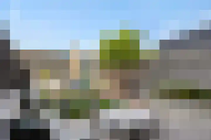Hengmeng 106 's-Hertogenbosch thumbnail 25